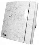 Вентилятор витяжний Turbionaire TREND100SWG